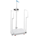 Scale with Handle 485lbs Weight Capacity HD LED Display Z223771