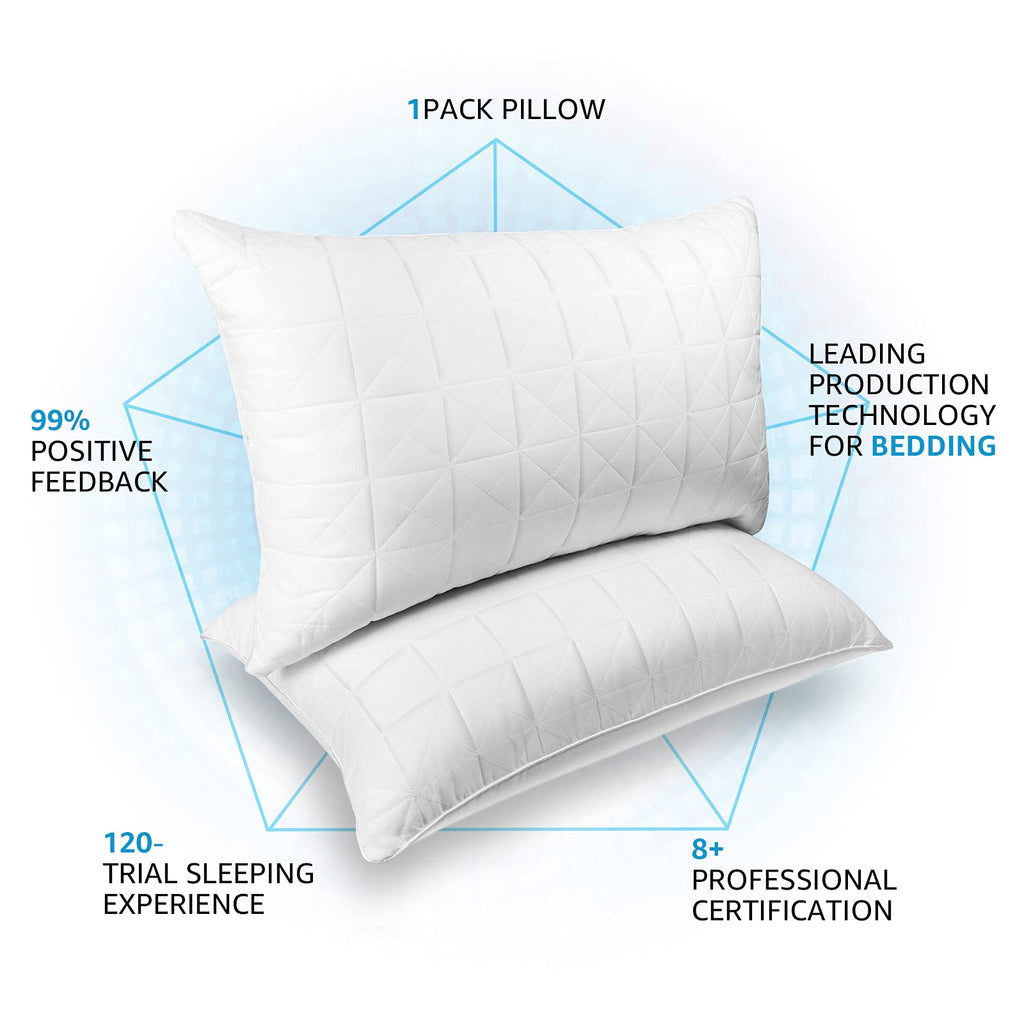 King Size Down Alternative Pillows Set of 2 I34655