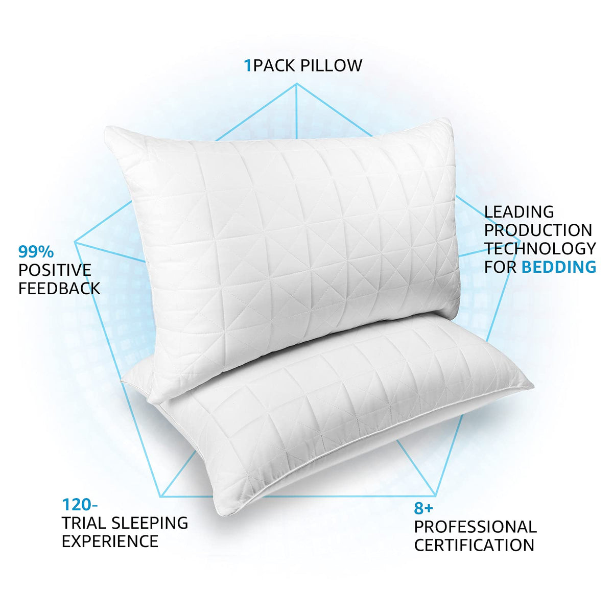 King Size Down Alternative Pillows Set of 2 I34655