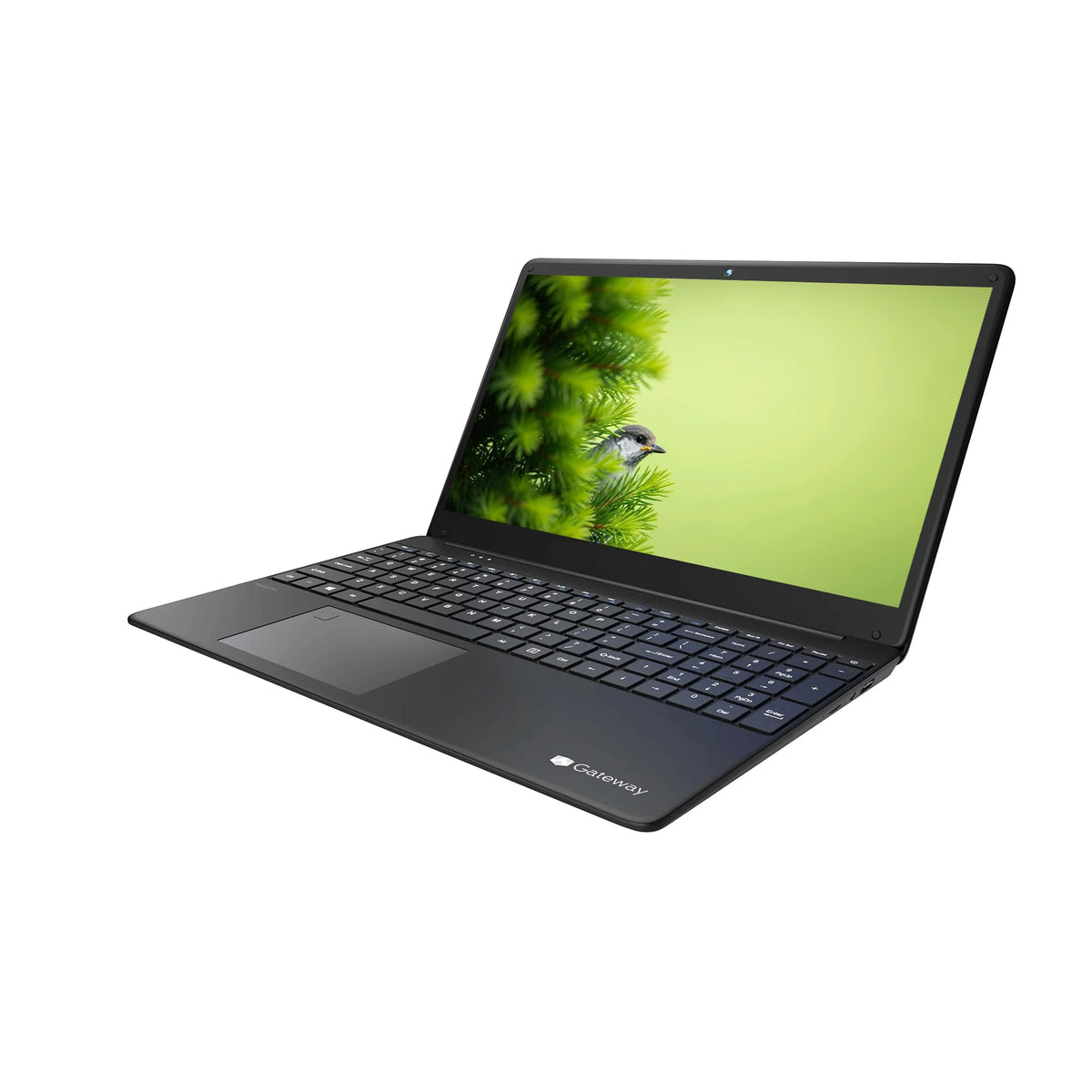 15.6" FHD IPS Lightweight Laptop, Intel i3, 8GB DDR4, 256GB SSD, Windows 11 Y44037