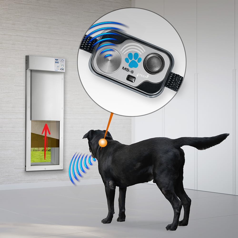 Automatic Pet Door Collar 2-Pack Z76679