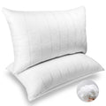 King Size Down Alternative Pillows Set of 2 I34655