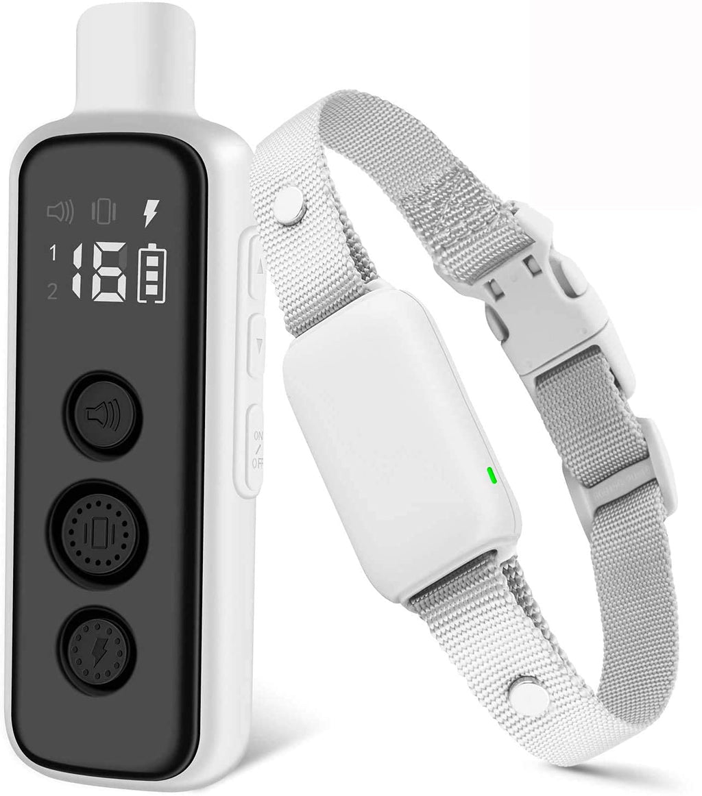 Waterproof Rechargeable Dog Training Collar with Remote R52996