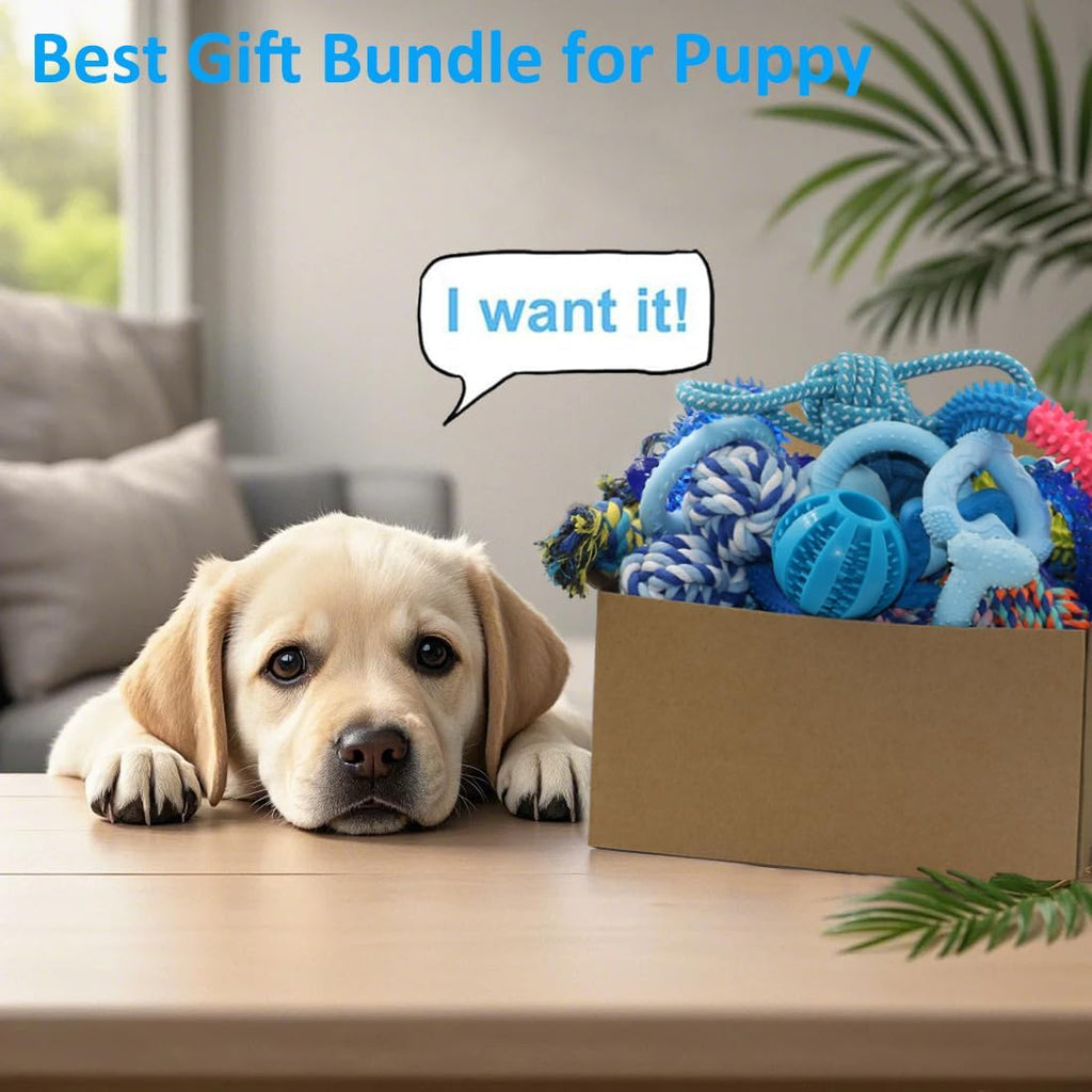 20 Pack Puppy Chew Toys L126