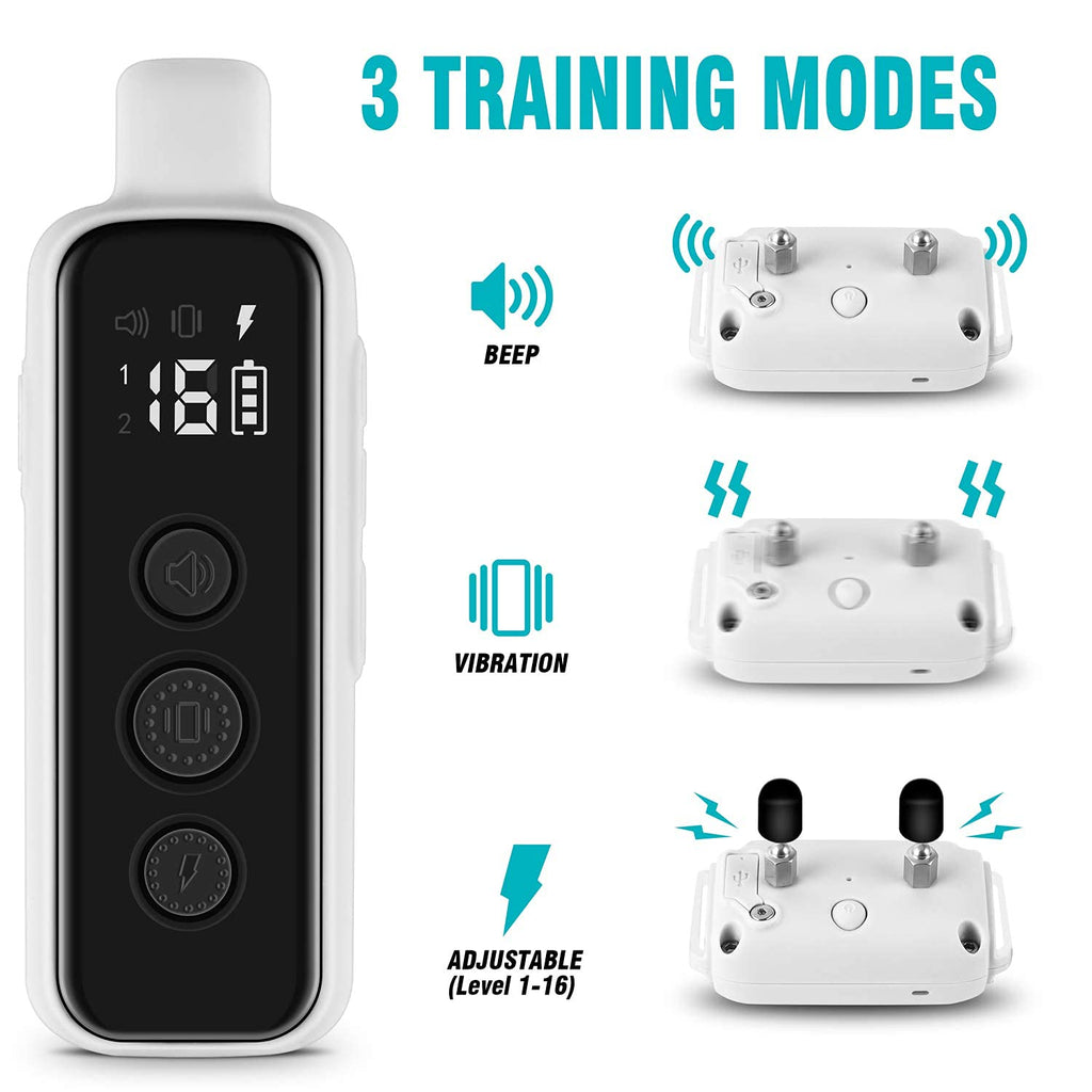 Waterproof Rechargeable Dog Training Collar with Remote R52996