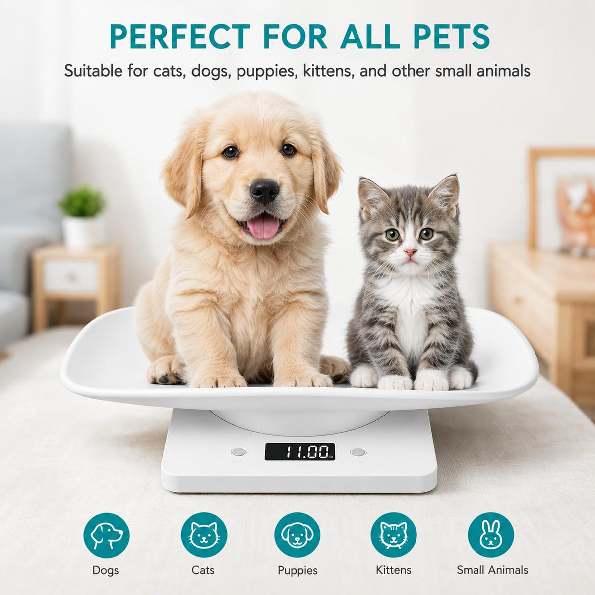 Digital Pet Scale with Removable Tray & Tape Measure I902092