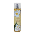 White Tea & Ginger 8.0 oz Body Splash N586252