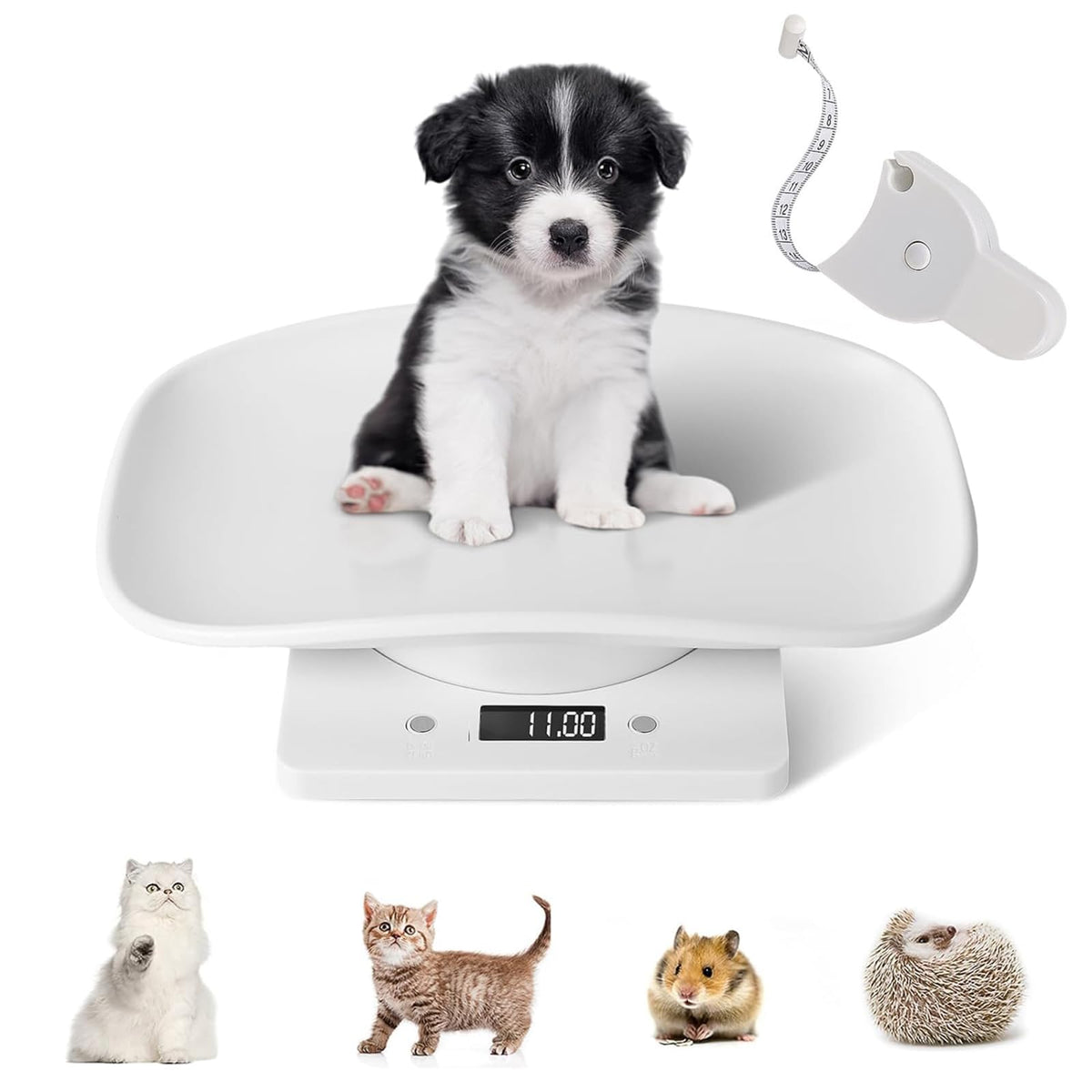 Digital Pet Scale with Removable Tray & Tape Measure I902092