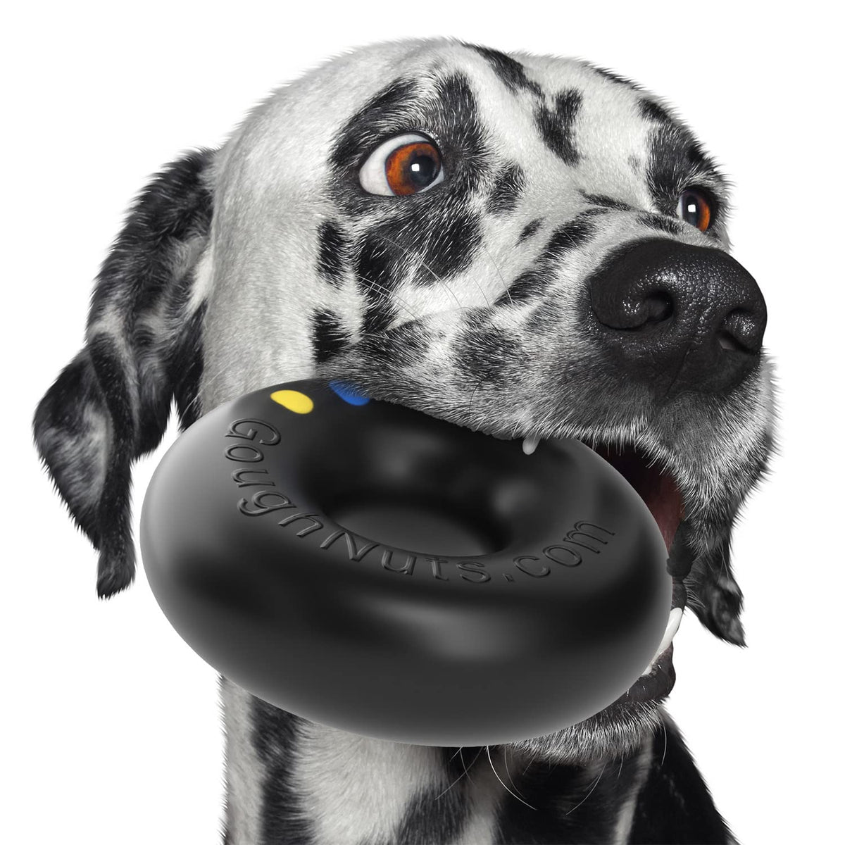 Black Dog Toys for Aggressive Chewers I740