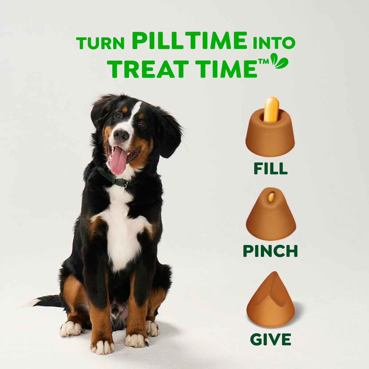 Peanut Butter Large Size Dog Treats 15.8 oz B113