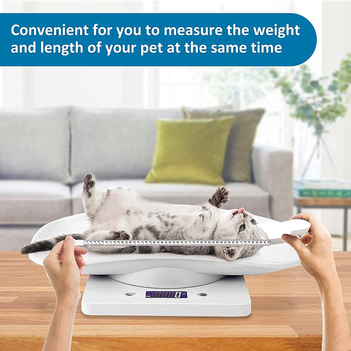 Digital Pet Scale with Removable Tray & Tape Measure I902092