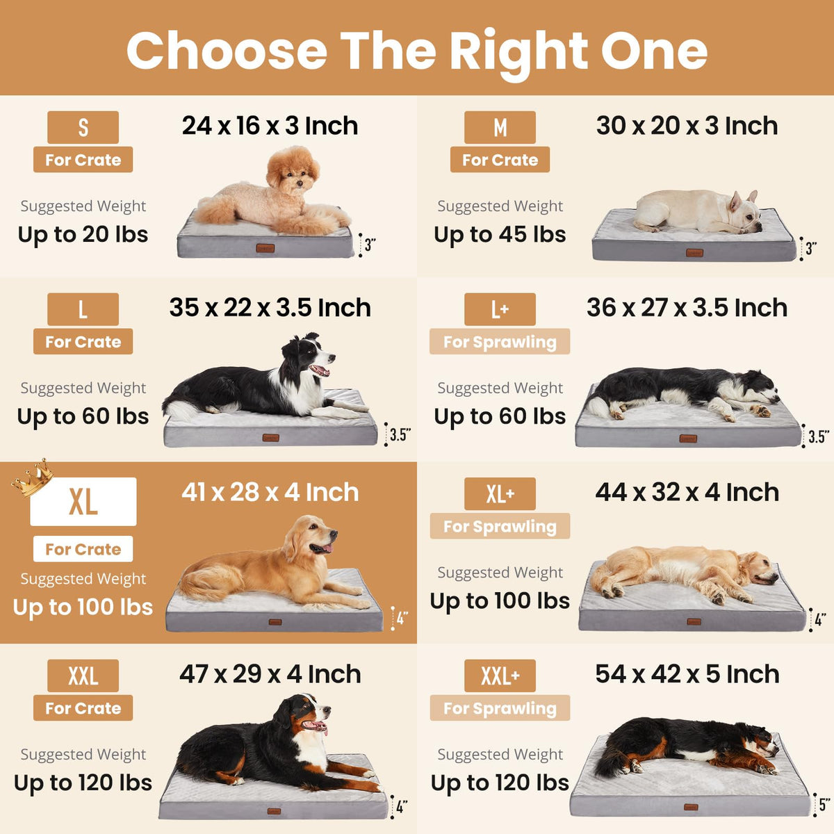 Large Reversible Memory Foam Dog Bed W9579