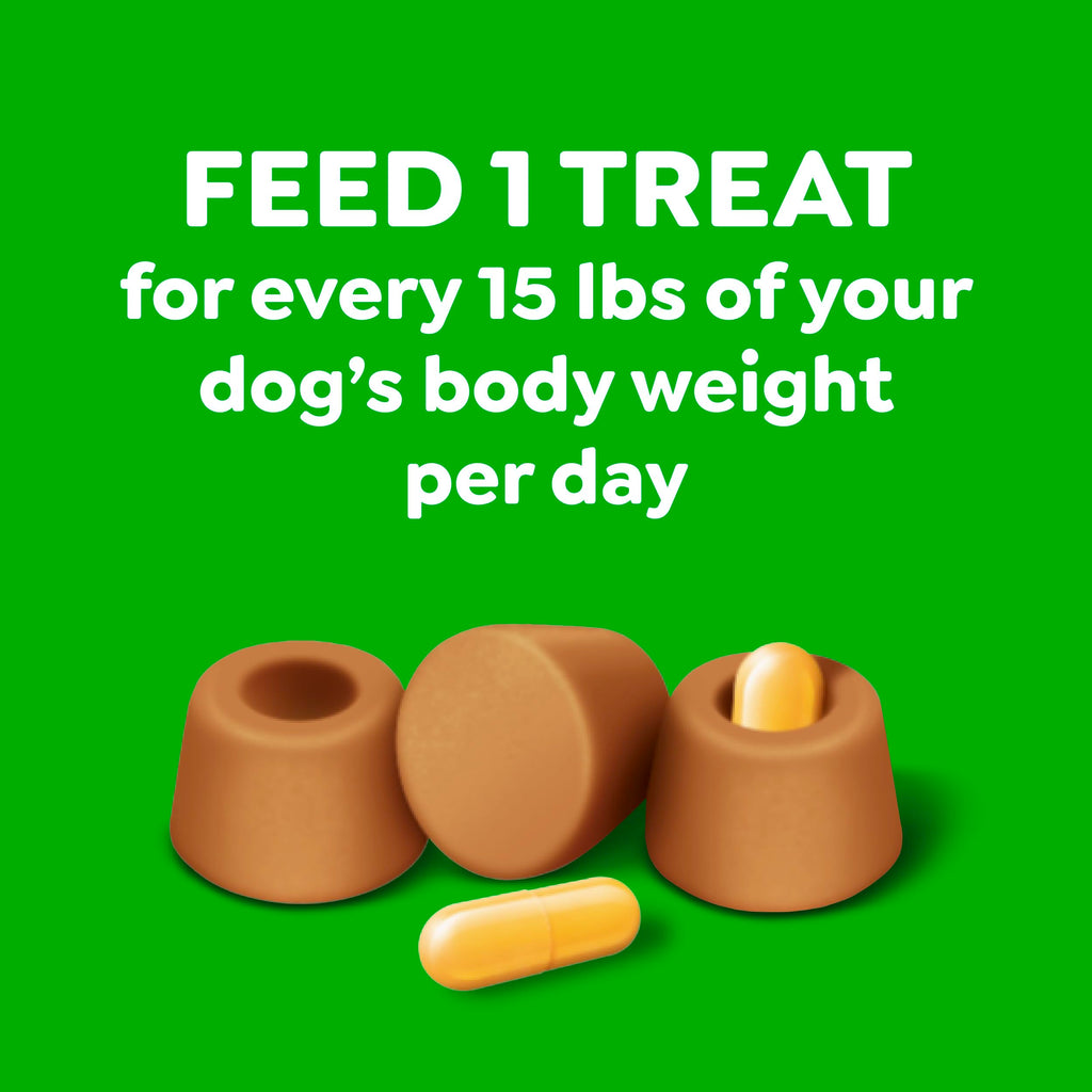 Peanut Butter Large Size Dog Treats 15.8 oz B113