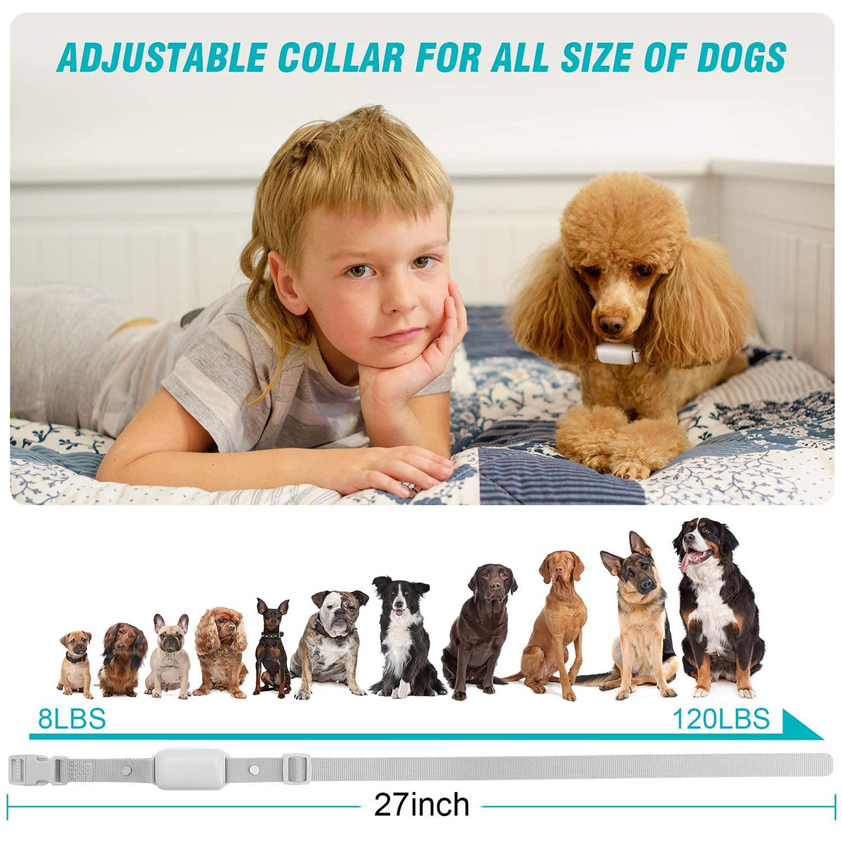 Waterproof Rechargeable Dog Training Collar with Remote R52996