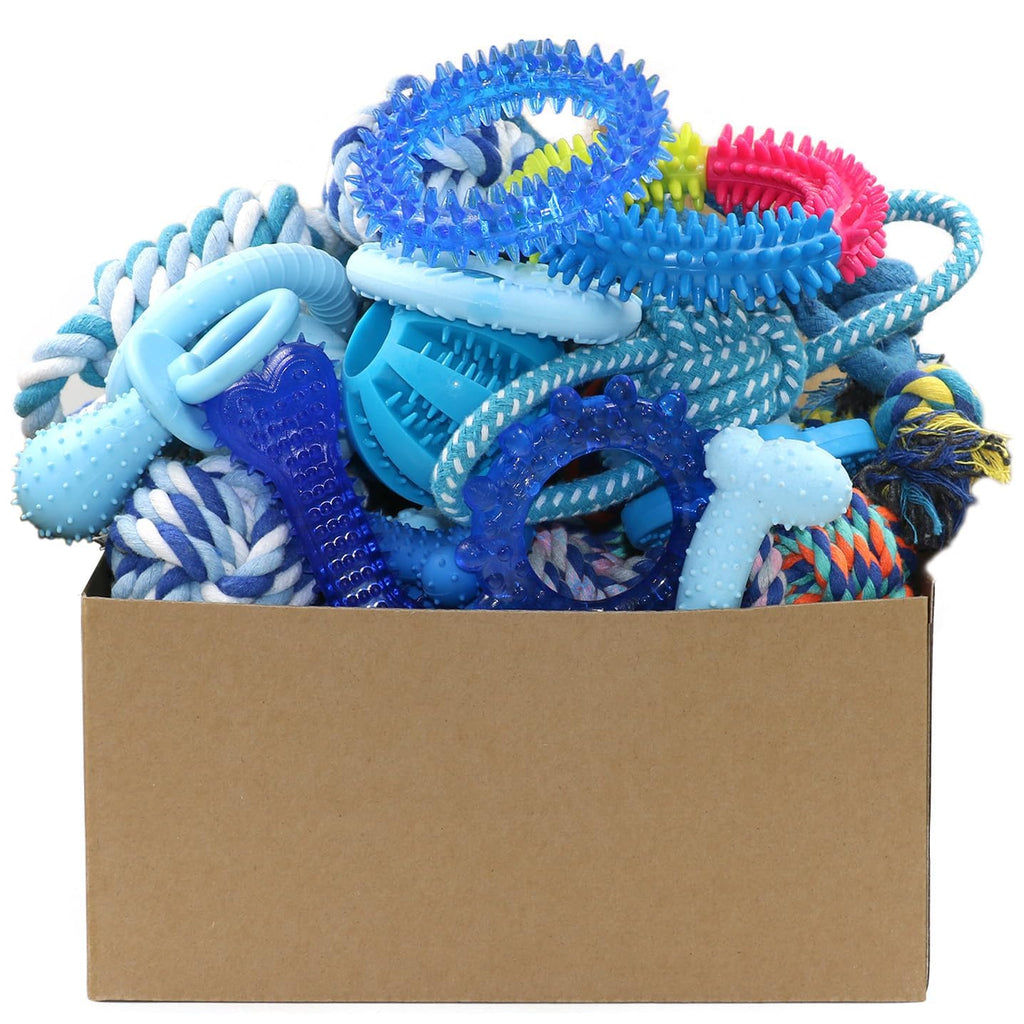 20 Pack Puppy Chew Toys L126