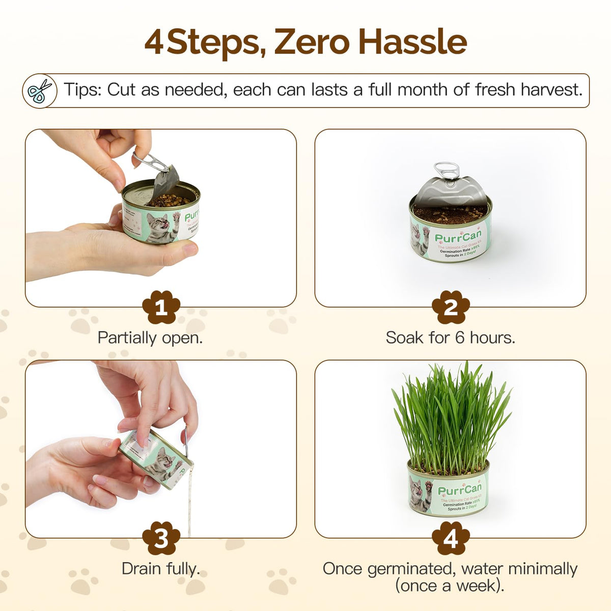 Cat Grass Kit 6 Cans Organic Wheat Seeds F85838