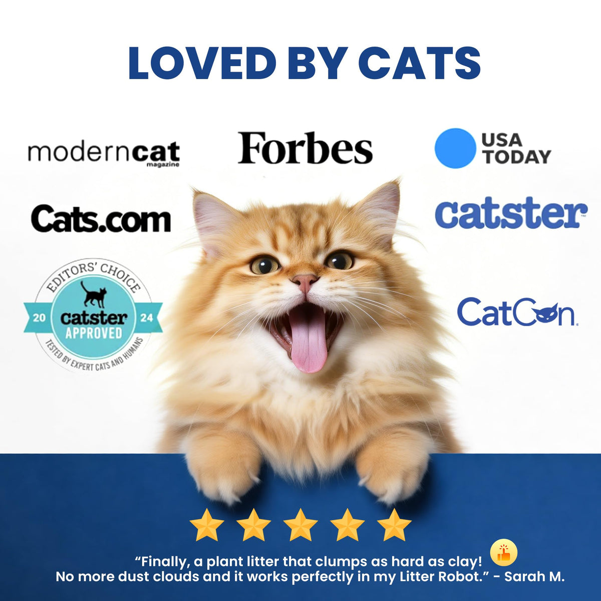 Natural Lightweight Clumping Flushable Cat Litter W5908