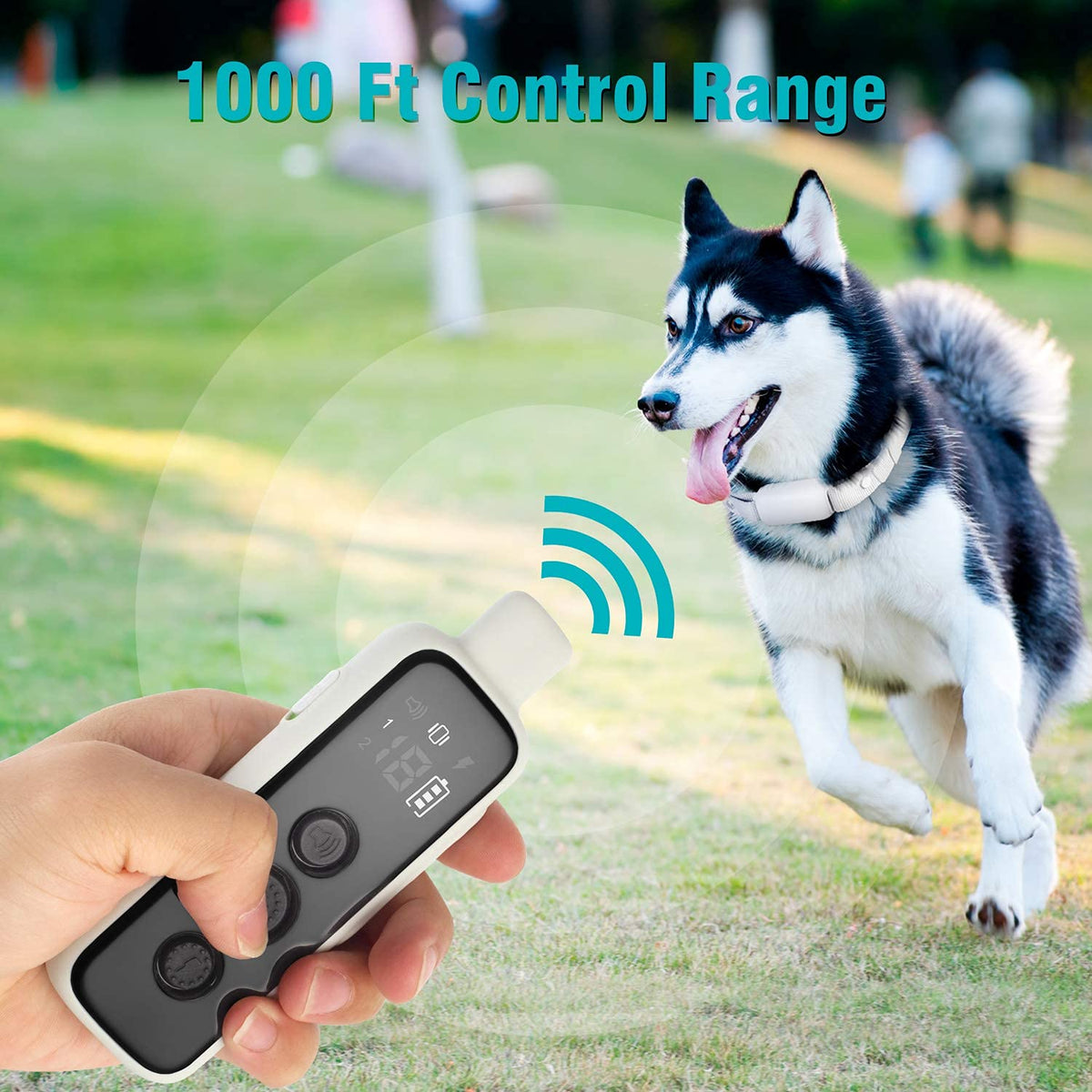 Waterproof Rechargeable Dog Training Collar with Remote R52996