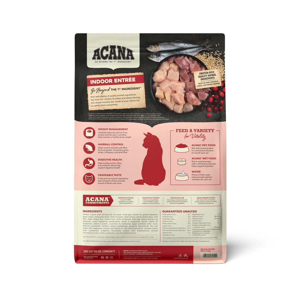 Dry Cat Food Chicken Turkey 4lb Bag F83144
