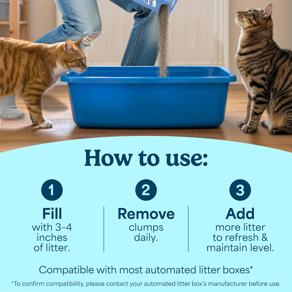 Clumping Multi Cat Litter with Carbon, 22 lb. C647238