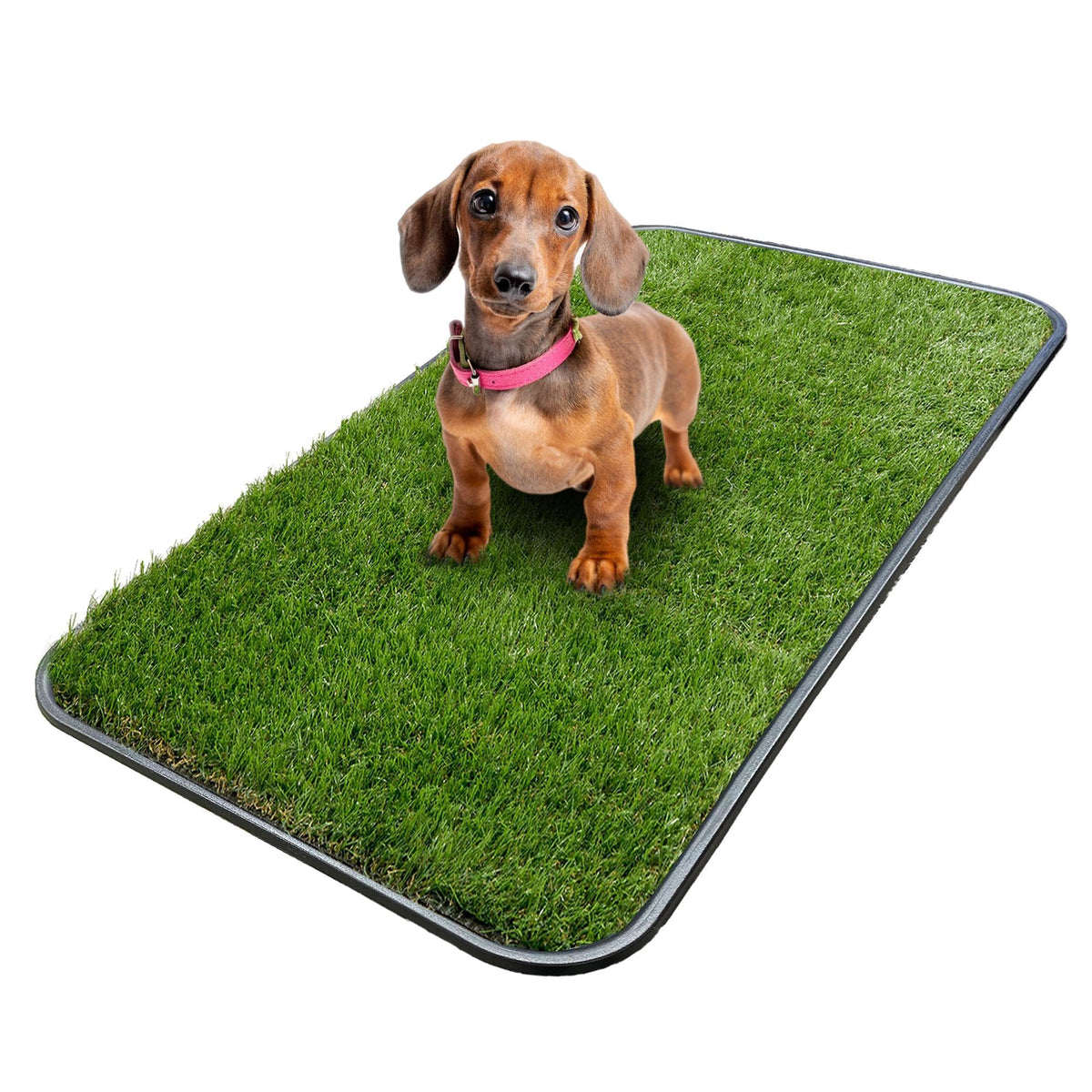 Artificial Grass Puppy Potty Training Pad with Tray 15" x 30" V1123