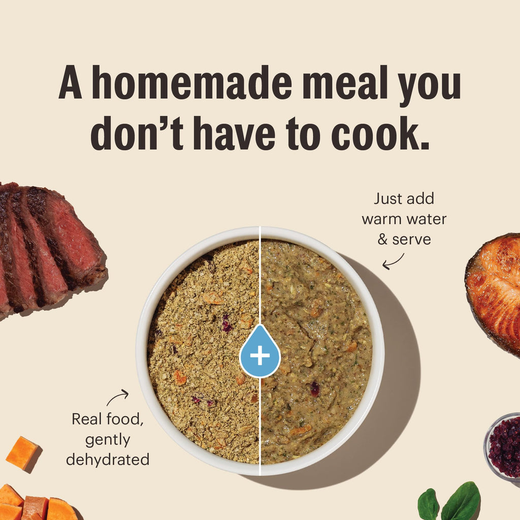 Whole Grain Chicken Recipe Dehydrated Dog Food 10 lb Q413