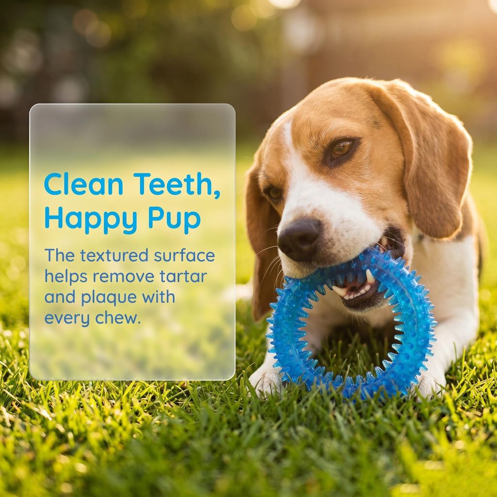 20 Pack Puppy Chew Toys L126