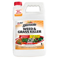 Weed & Grass Killer Concentrate 1 Gal P561300