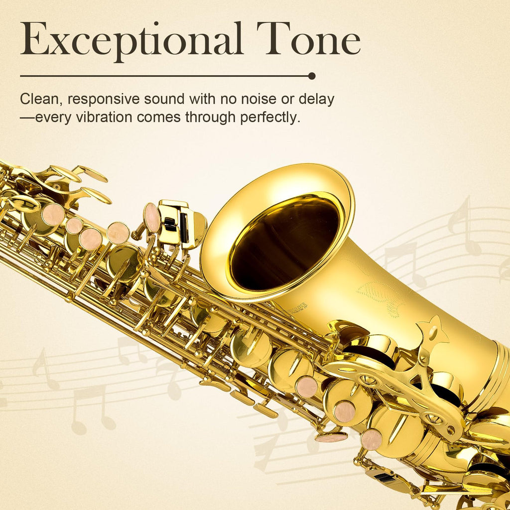E Flat Alto Saxophone Full Kit I286259