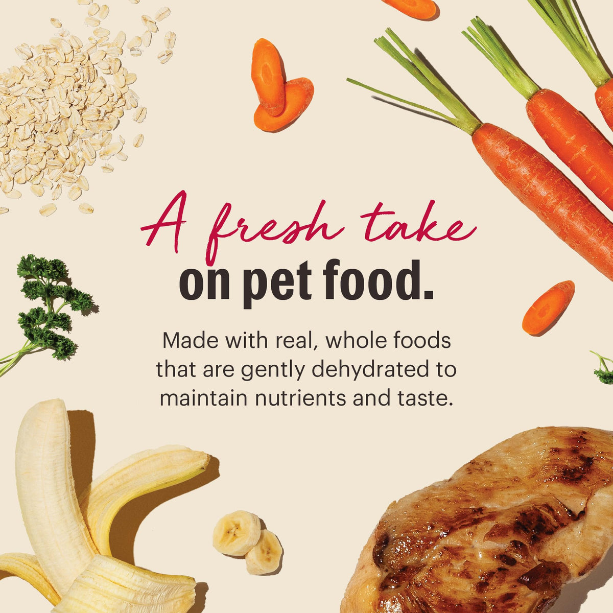 Whole Grain Chicken Recipe Dehydrated Dog Food 10 lb Q413