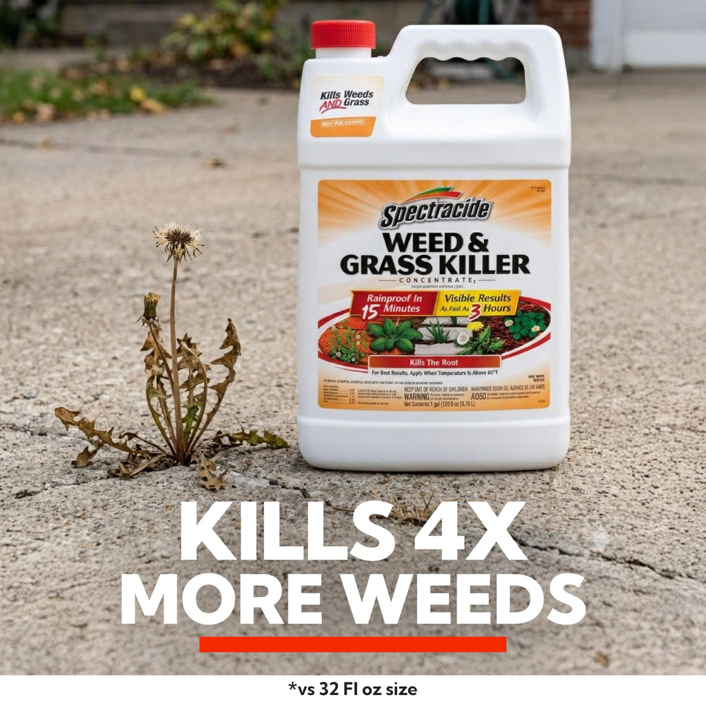 Weed & Grass Killer Concentrate 1 Gal P561300
