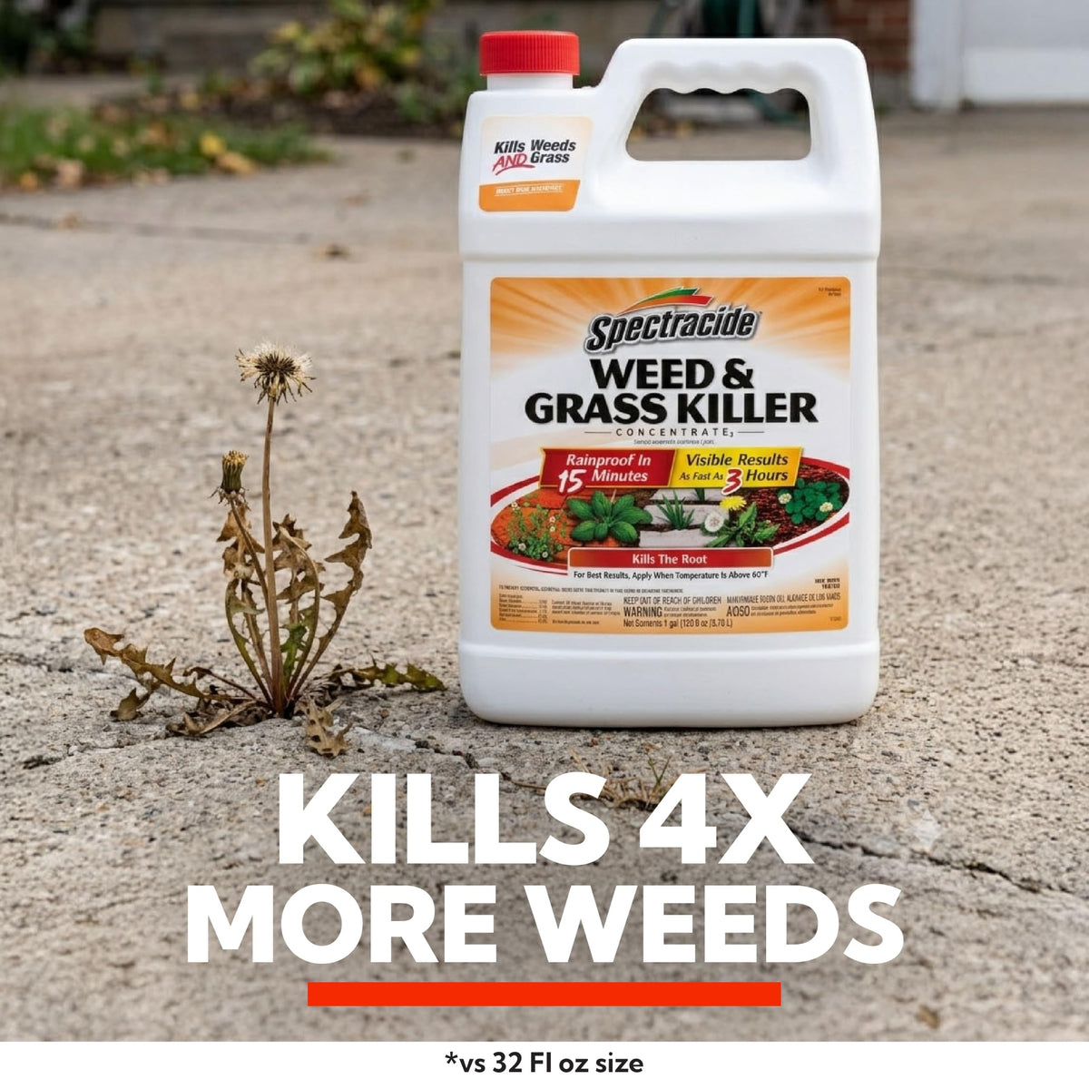 Weed & Grass Killer Concentrate 1 Gal P561300