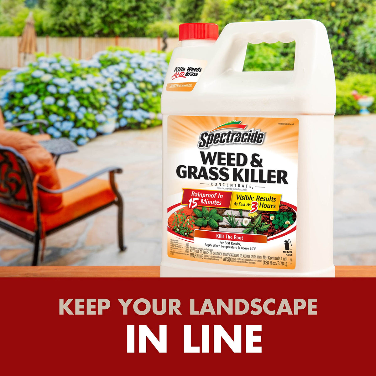 Weed & Grass Killer Concentrate 1 Gal P561300
