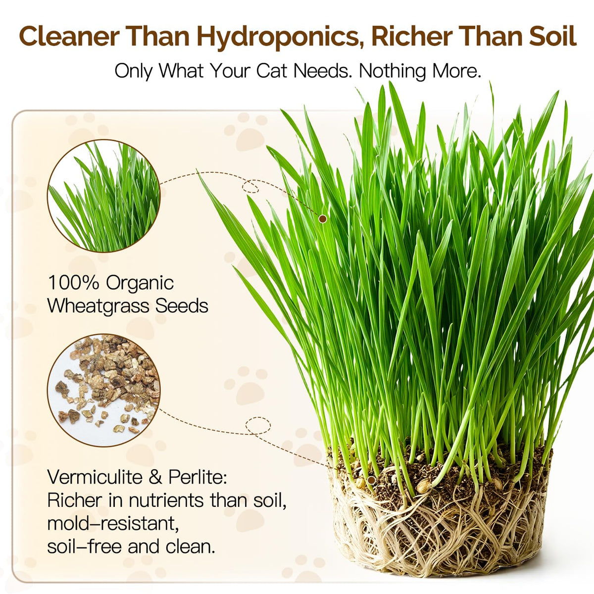 Cat Grass Kit 6 Cans Organic Wheat Seeds F85838