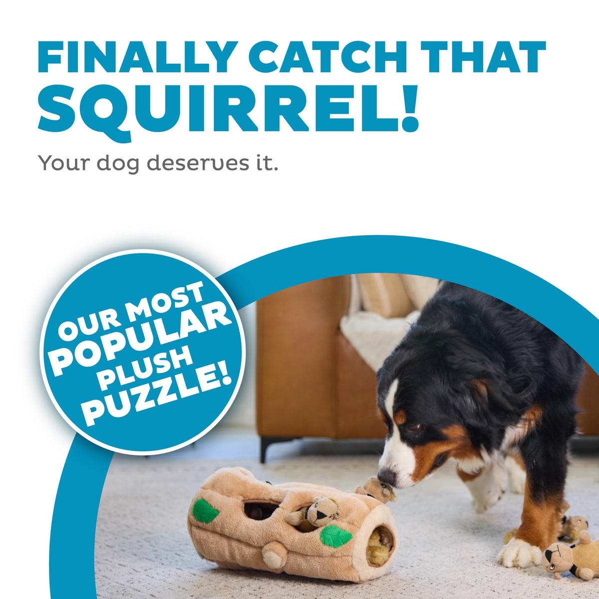 Plush Squeaky Dog Toy H512783