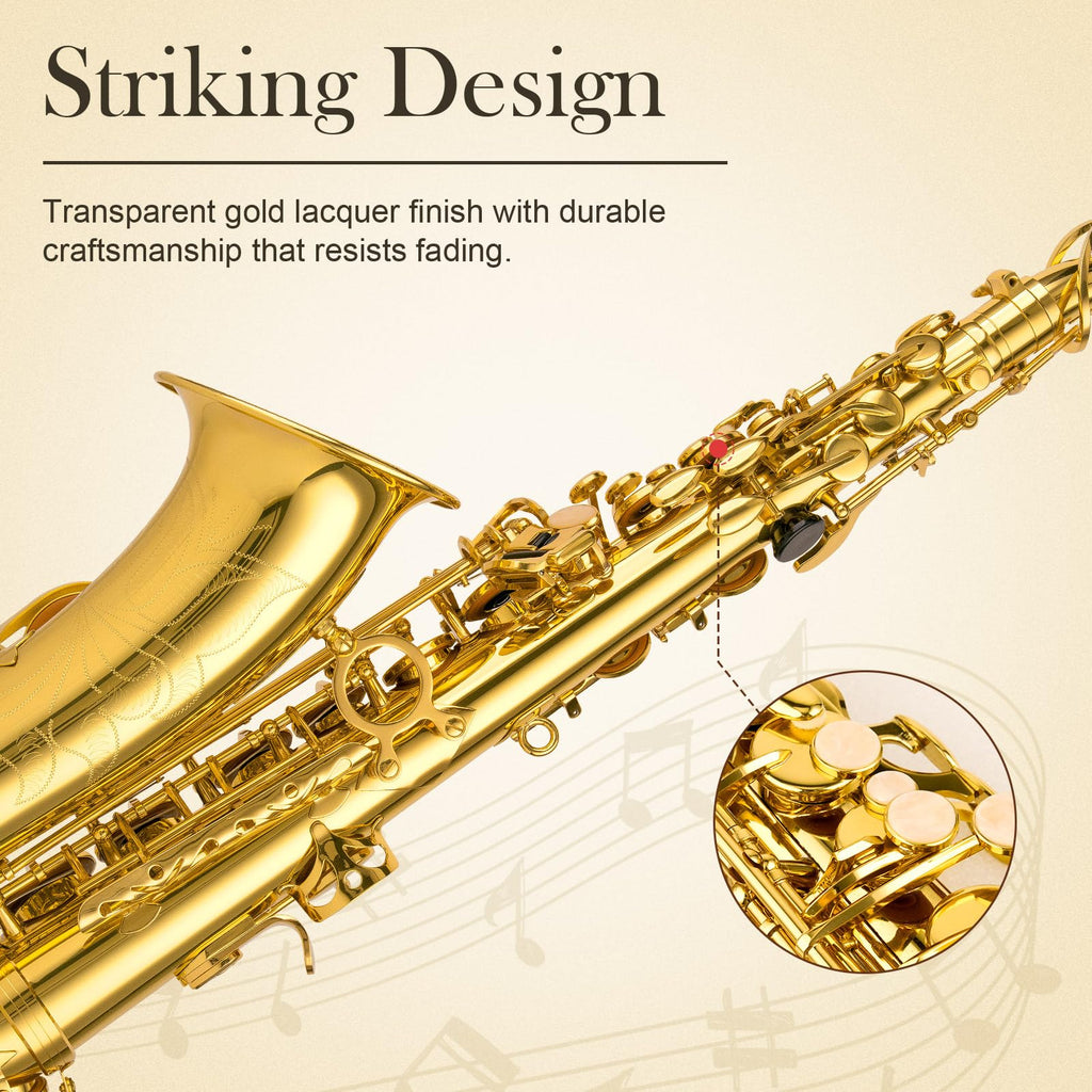 E Flat Alto Saxophone Full Kit I286259