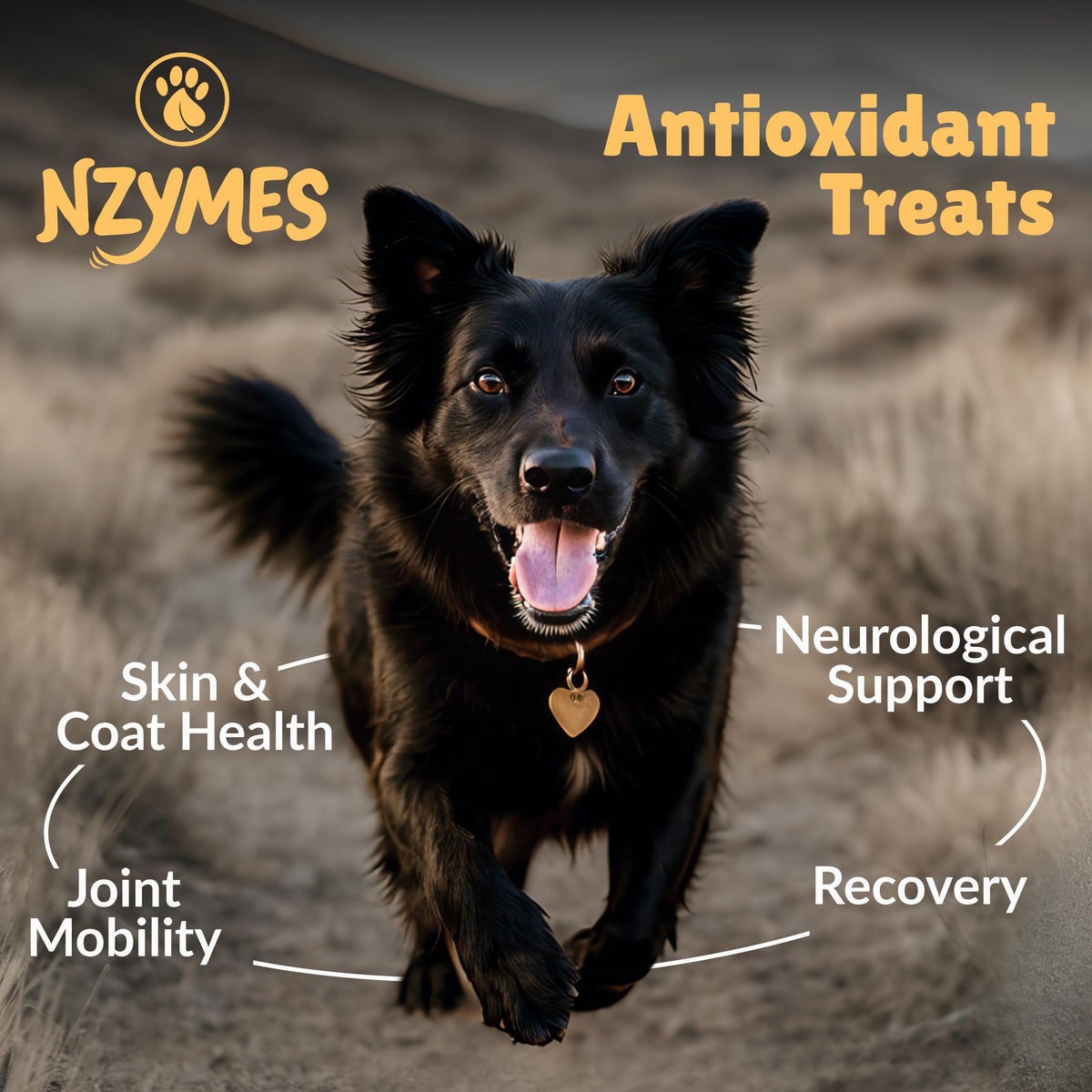 Antioxidant Dog Treats, 180 Count Z136057