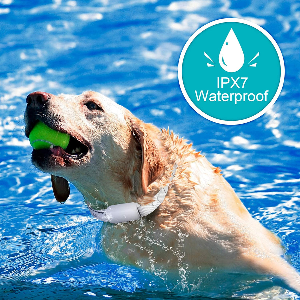Waterproof Rechargeable Dog Training Collar with Remote R52996