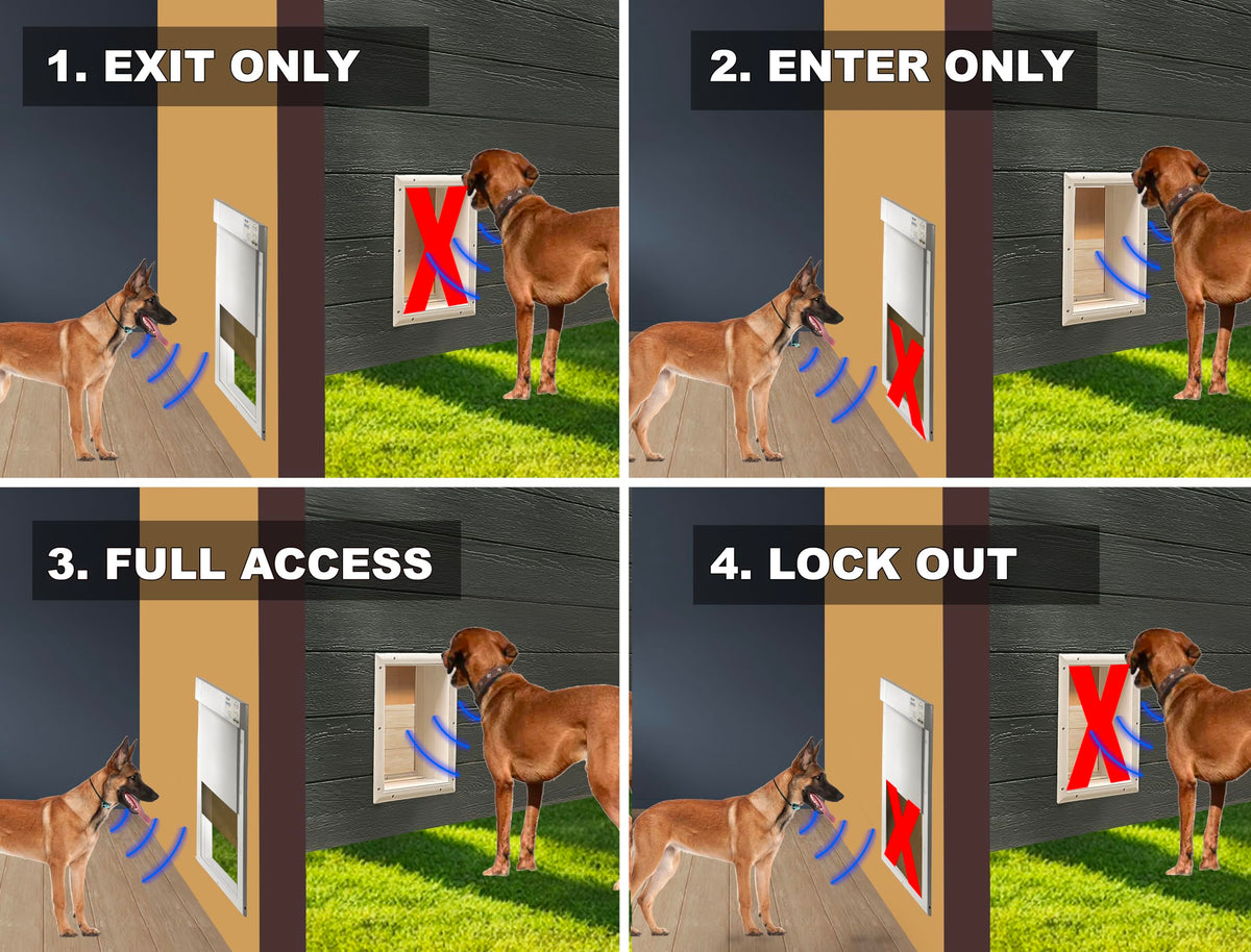 Automatic Pet Door Collar 2-Pack Z76679