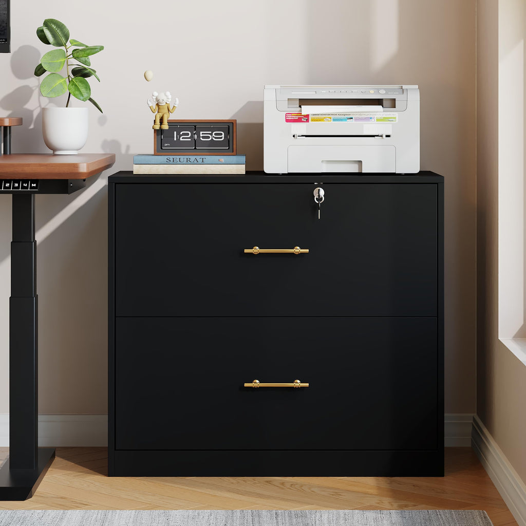 Black 2 Drawer Lateral File Cabinet with Lock R3425