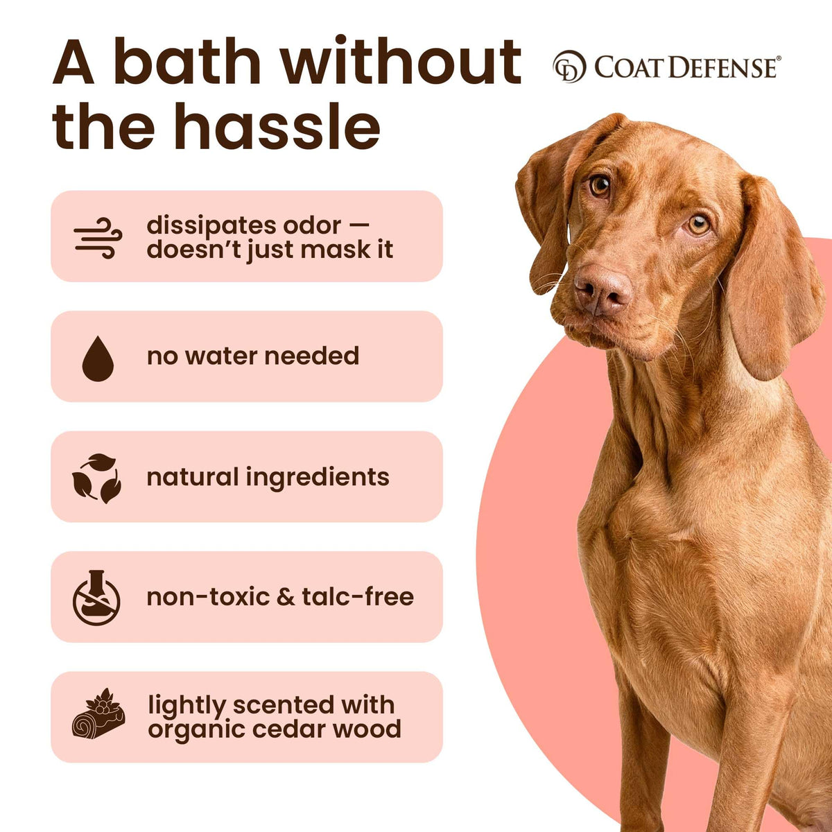 9oz Waterless Dog Shampoo & Pet Deodorizer Z3215