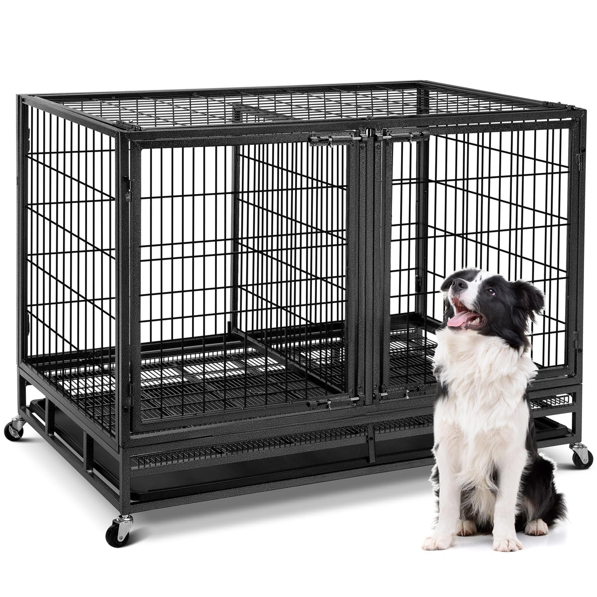 48 inch Wire Dog Crate with Divider A605
