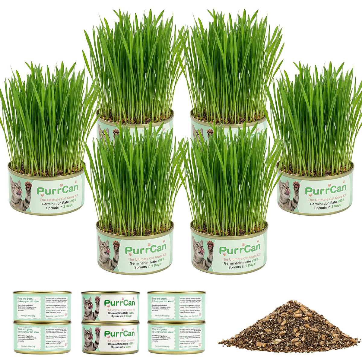 Cat Grass Kit 6 Cans Organic Wheat Seeds F85838