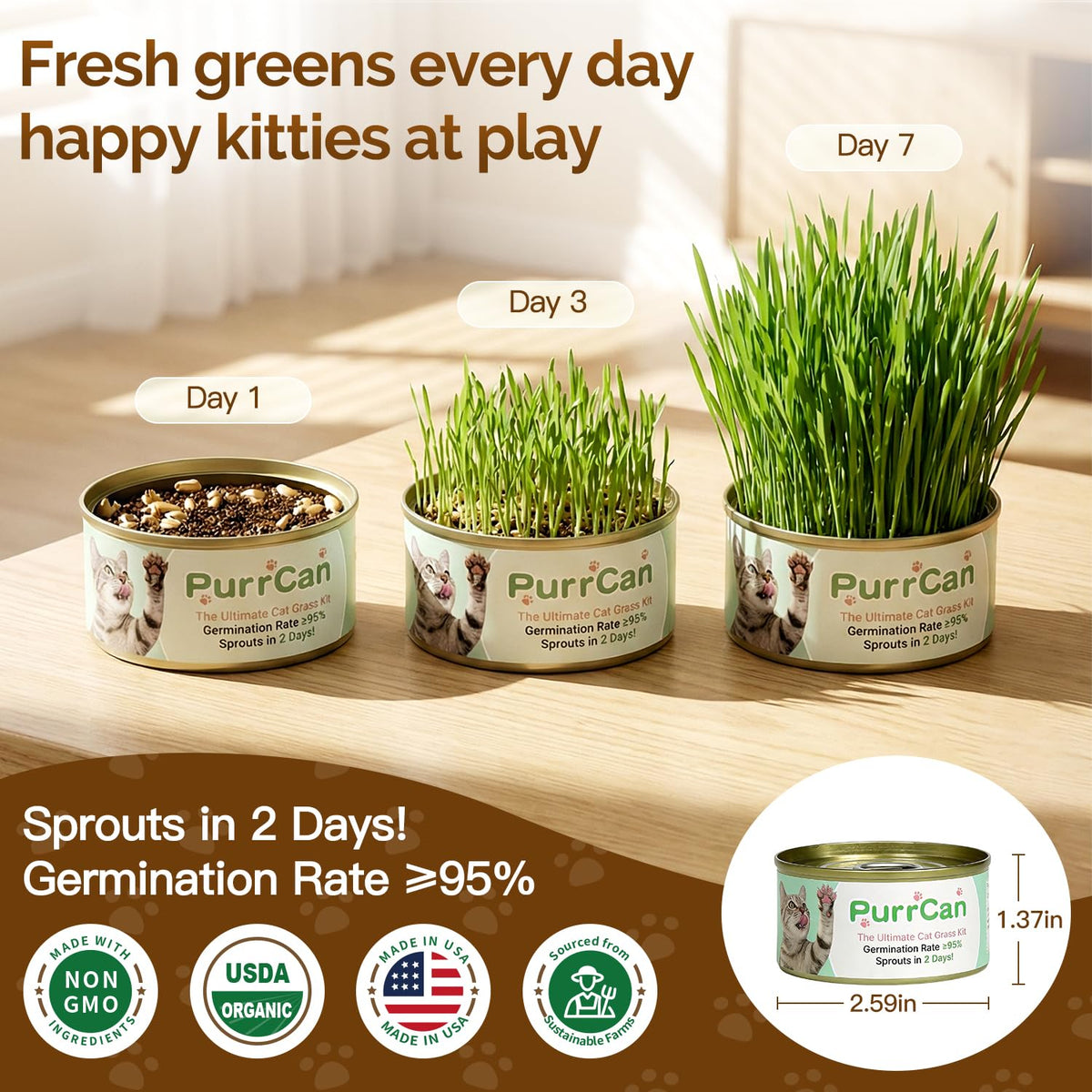 Cat Grass Kit 6 Cans Organic Wheat Seeds F85838