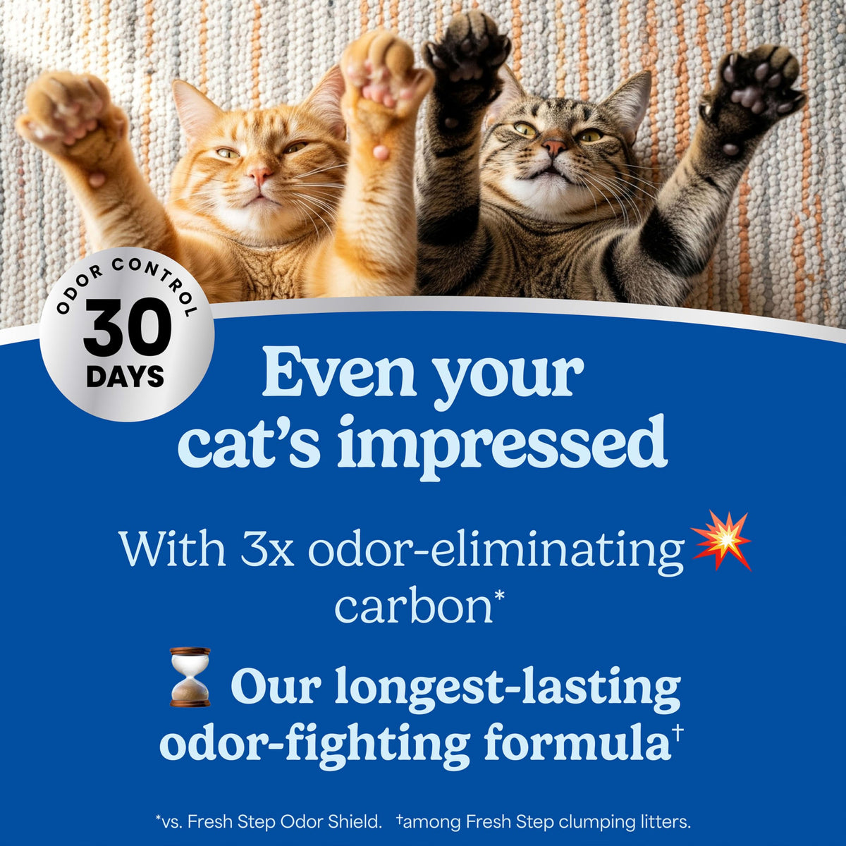 Clumping Multi Cat Litter with Carbon, 22 lb. C647238