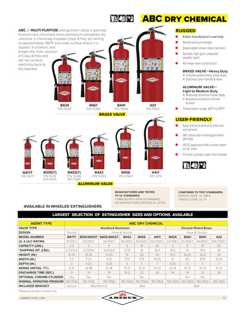 2.5 lb. ABC Dry Chemical Fire Extinguisher with Wall Bracket, 2 Pack Y814489