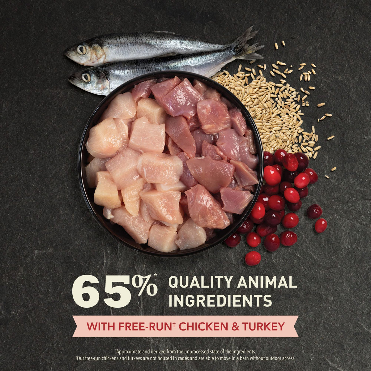 Dry Cat Food Chicken Turkey 4lb Bag F83144