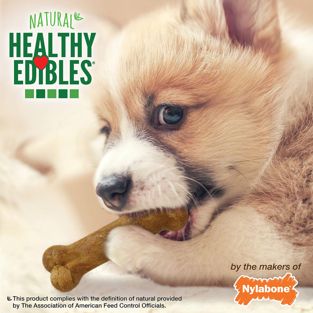 Healthy Edibles Puppy Dog Treats Variety Pack, 3 Count R3892