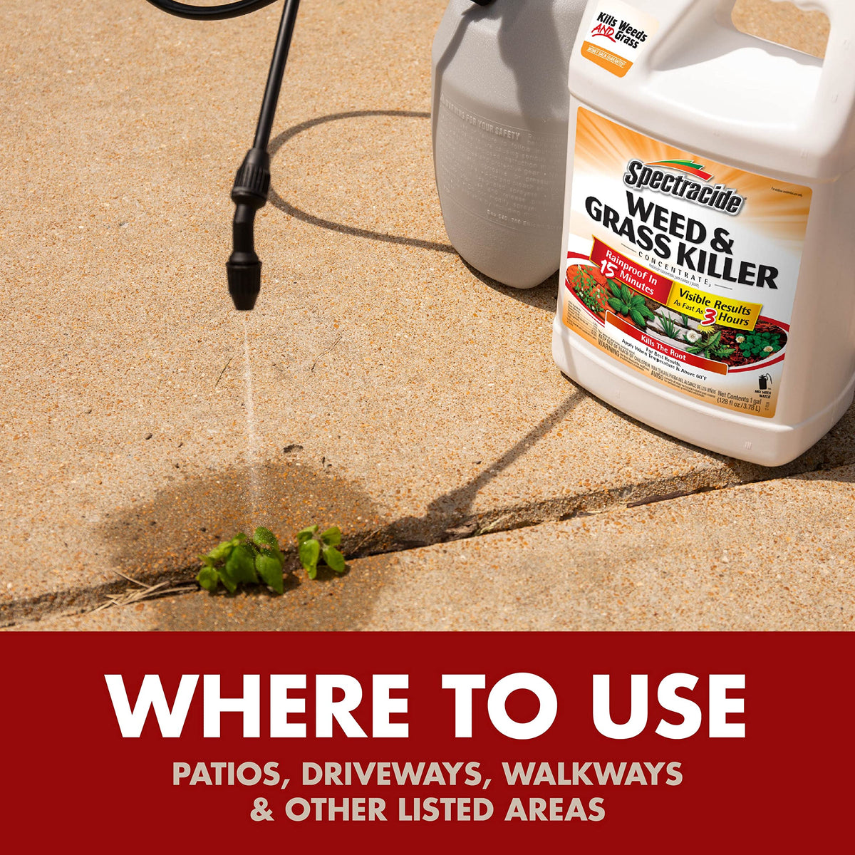 Weed & Grass Killer Concentrate 1 Gal P561300