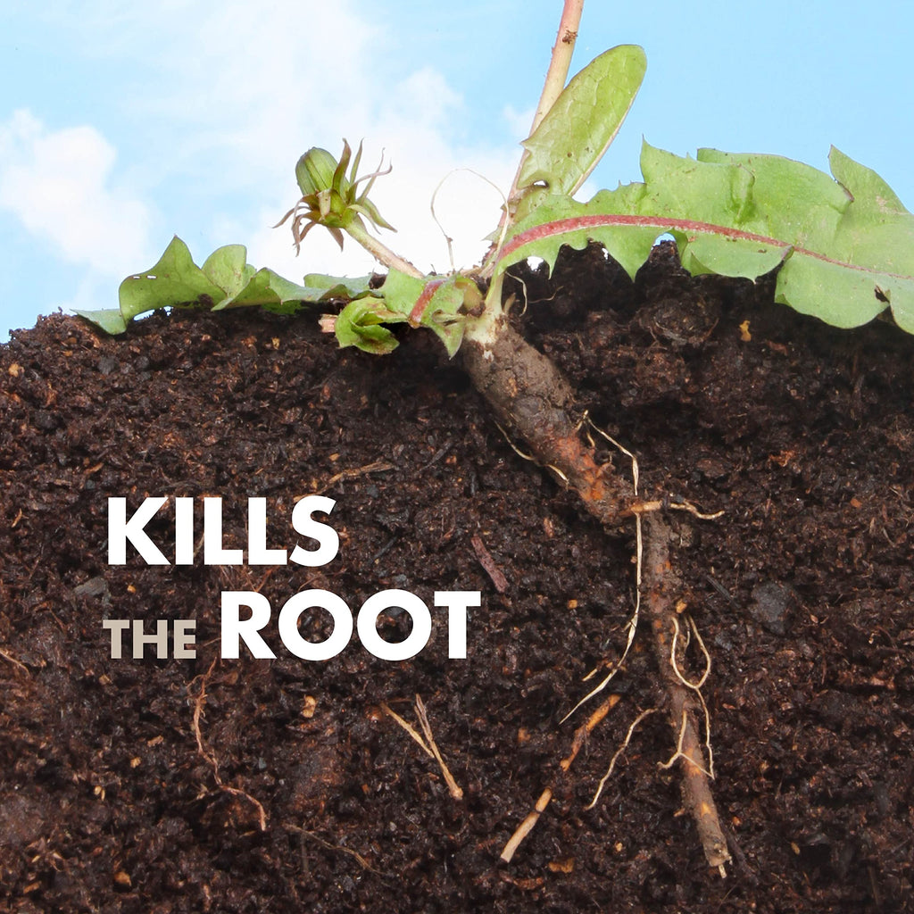 Weed & Grass Killer Concentrate 1 Gal P561300